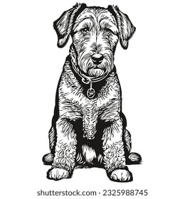 Airedale Terrier dog vector graphics, hand drawn pencil animal line illustration realistic breed pet