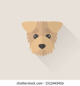 Airedale Terrier Head Vector Flat Design Illustration from Front View for Website Icon, Social Media, Blog, Business Card, T-Shirt and Greeting Card