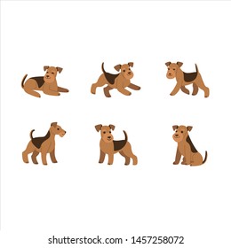 Airedale terrier icon set. Different type of airedale terrier. Vector illustration for prints, clothing, packaging, stickers, stickers.