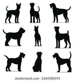 Airedale Terrier silhouettes and icons. black flat color simple elegant Airedale Terrier animal vector and illustration.