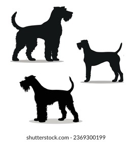 Airedale Terrier silhouettes and icons. black flat color simple elegant Airedale Terrier animal vector and illustration.