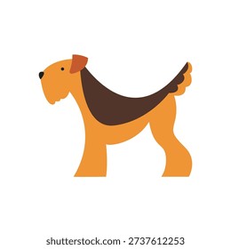 Airedale terrier vector illustration. Flat pet character - pure bred hunting terrier dog. Breed concept.