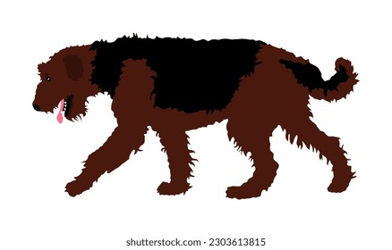 Airedale Terrier vector illustration isolated. Big terrier breed. Beware of purebred dog show champion. Best friend. Alert, guard attention.