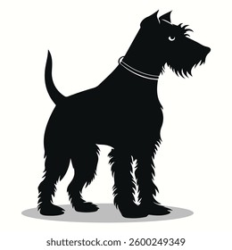 Airedale Terriers silhouettes and icons. Black flat color white background Airedale Terriers animal vector and illustration.