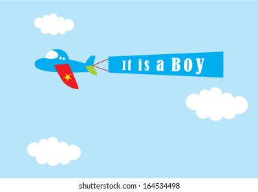 airplane baby boy announcement