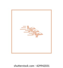 airplane icon