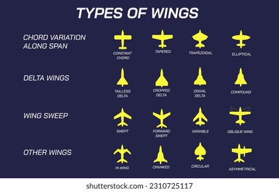 Airplane parts and function vector illustration. Some important parts to know. Types of aircrafts.  Types of wings. Chord variations along span. Delta wings, wing sweep, other types of aircrafts. 