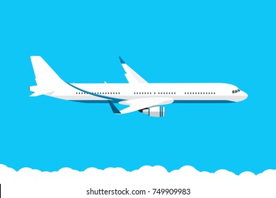 Airplane in the sky