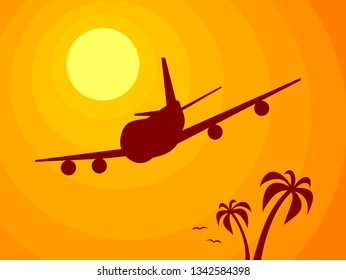 Airplane, Sun and Palms