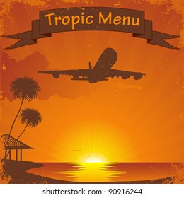airplane at the sunset