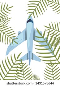 airplane travel exotic branch summer