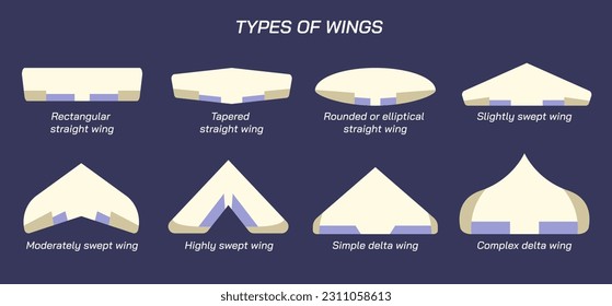 Ilustración vectorial de las alas y posiciones del avión. Algunos tipos de alas importantes. Tipos de aeronaves.  Tipos de alas. Variaciones de acordes a lo largo del intervalo. Alas deltas, barrido de alas, otros tipos de aviones. 