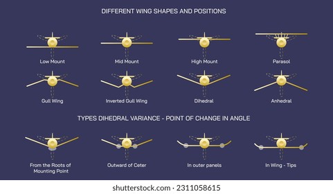 Airplane wings and positions vector illustration. Some important wing types. Types of aircrafts.  Types of wings. Chord variations along span. Delta wings, wing sweep, other types of aircrafts. 