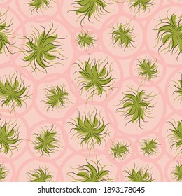 Airplants living wall seamless vector pattern in pink and green. Botanical surface print design for fabrics, stationery, scrapbook paper, gift wrap, home decor, wallpaper, textiles, and packaging.