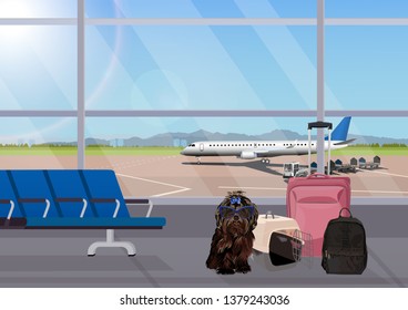 Airport waiting room, dog in the foreground. Terminal interior, panoramic window, airplane. Time to travel. Travel concept, vector illustration.