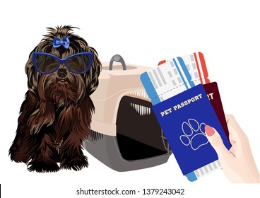 Airport waiting room, dog in the foreground. Terminal interior, panoramic window, airplane. Time to travel. Travel concept, vector illustration.