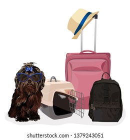 Airport waiting room, dog in the foreground. Terminal interior, panoramic window, airplane. Time to travel. Travel concept, vector illustration.