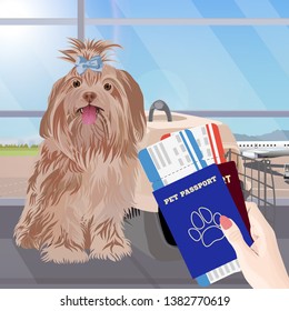 Airport waiting room, dog in the foreground. Terminal interior, panoramic window, airplane. Time to travel. Travel concept, vector illustration.