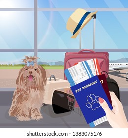 Airport waiting room, dog in the foreground. Terminal interior, panoramic window, airplane. Time to travel. Travel concept, vector illustration.