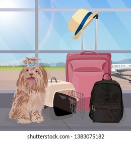 Airport waiting room, dog in the foreground. Terminal interior, panoramic window, airplane. Time to travel. Travel concept, vector illustration.
