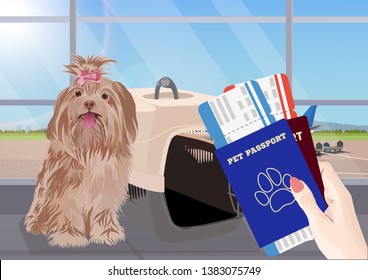 Airport waiting room, dog in the foreground. Terminal interior, panoramic window, airplane. Time to travel. Travel concept, vector illustration.
