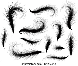 airy feathers silhouettes