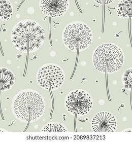 Airy, fluffy, light dandelions with flying cloud of seeds in wind. Square flower seamless pattern in vector illustration isolated on cream or gray background. Meadow or wildflowers weed