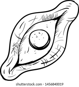 Ajarian khachapuri drawing, illustration, vector on white background