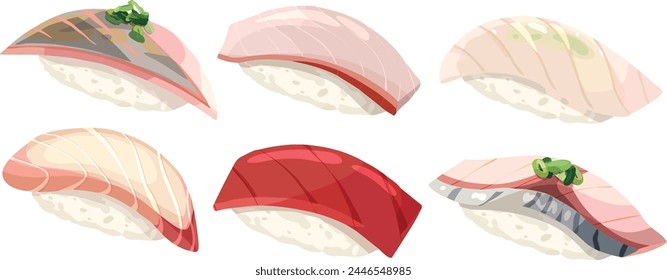 Aji, Buri, Hirame,Tai,Maguro,Saba nigiri. Horse Mackerel , Yellow tail fish, Flounder, Seabeam,Tuna, Mackerel sushi. Sushi illustration vectors.