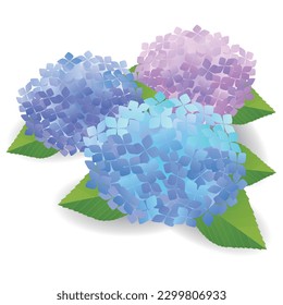 Ajisai Rainy season Japanese Pattern Flower Icon