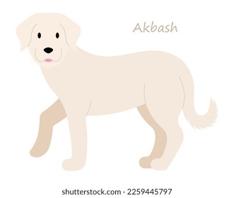 Akbash Dog cute animal in colorful cartoon style isolated on white background. Vector graphics. also called the Coban Kopegi, the Akbas, or Aky, is an ancient large to giant dog breed from Turkey.