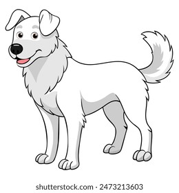 Akbash dog vector illustration isolated on white background in cartoon style.