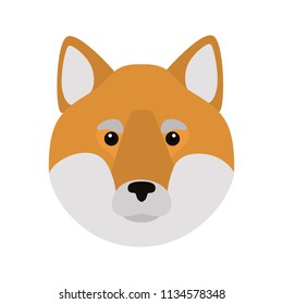 Aki inu breed dog muzzle color vector icon