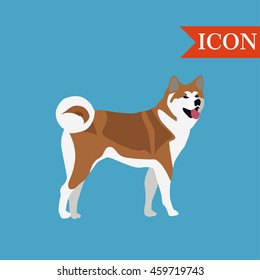 Akita dog asian breed colorful vector background