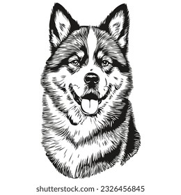 Akita dog breed line drawing, clip art animal hand drawing vector black and white sketch drawing