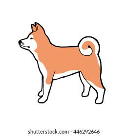 Akita dog breed. Outline with color background. Vector illustration.
