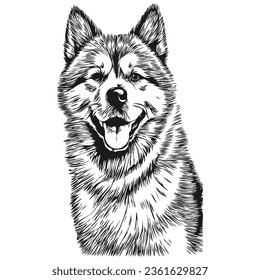 Akita dog cartoon face ink portrait, black and white sketch drawing, tshirt print realistic breed pet