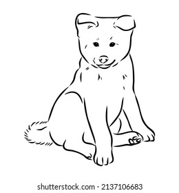 Akita dog face - isolated vector illustration akita inu dog vector