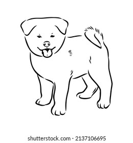 Akita dog face - isolated vector illustration akita inu dog vector