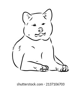 Akita dog face - isolated vector illustration akita inu dog vector