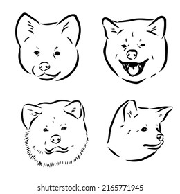 Akita dog face - isolated vector illustration akita inu dog vector