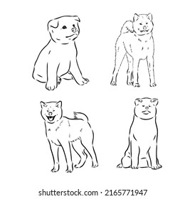 Cara de perro Akita - ilustración vectorial aislada akita u vector