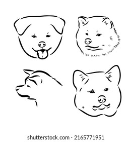 Akita dog face - isolated vector illustration akita inu dog vector