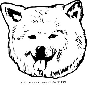 Akita dog hand drawn sketch. Purebred dog portrait on white background.