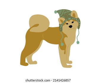 Akita Hund in einem Hut mit einem skandinavischen Ornament. Vector Akita Inu Hunderasse. Isolierte Shiba in einen Welpen in einer stehenden Pose. Flache Vektorgrafik.