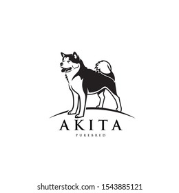 Akita dog icon - purebred Japanese and American dog - vector illustration