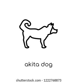 Akita dog icon. Trendy modern flat linear vector Akita dog icon on white background from thin line dogs collection, editable outline stroke vector illustration