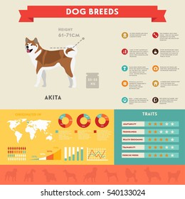 Akita dog infographic illustration vector icons set