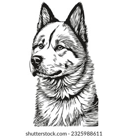 Akita dog realistic pencil drawing in vector, line art illustration of dog face black and white