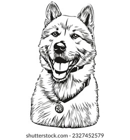 Akita dog realistic pencil drawing in vector, line art illustration of dog face black and white realistic breed pet